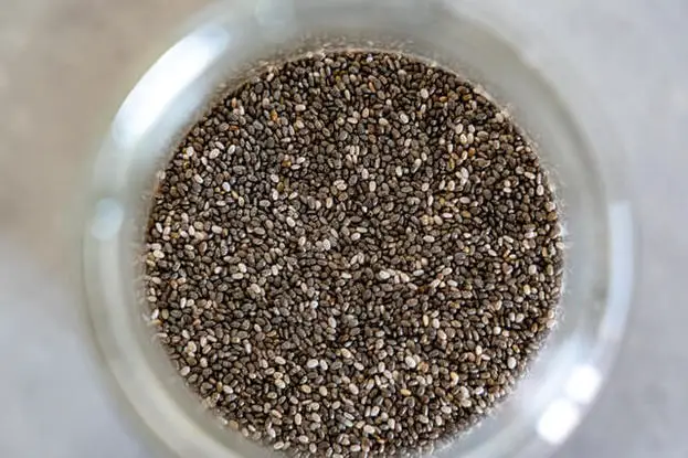 14 Incredible Health Benefits of Chia Seeds – Hair Growth, Weight Loss ...