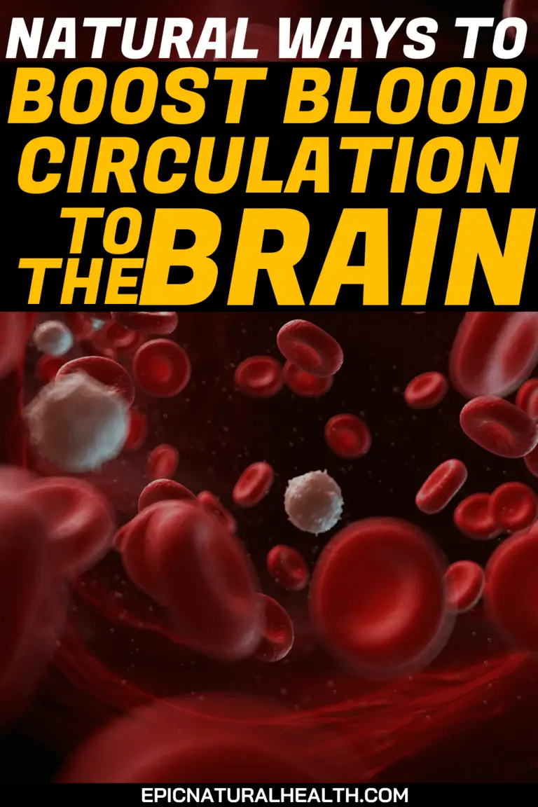 11 Amazing Natural Ways To Boost Blood Circulation To The Brain & Heart ...