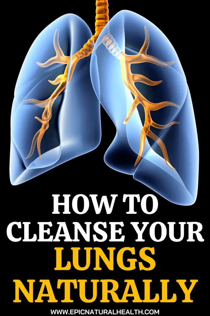 How To Detox & Cleanse Your Lungs Naturally - Epic Natural Health