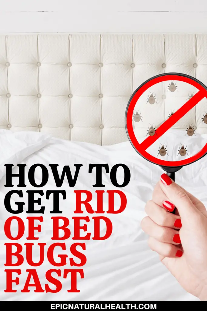 How To Get Rid Of Bed Bugs Fast And Easily Yourself At Home Epic Natural Health 3751