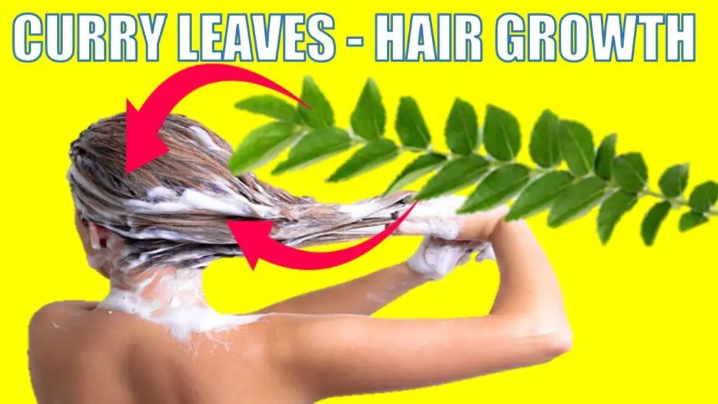 curry leaves - hair growth