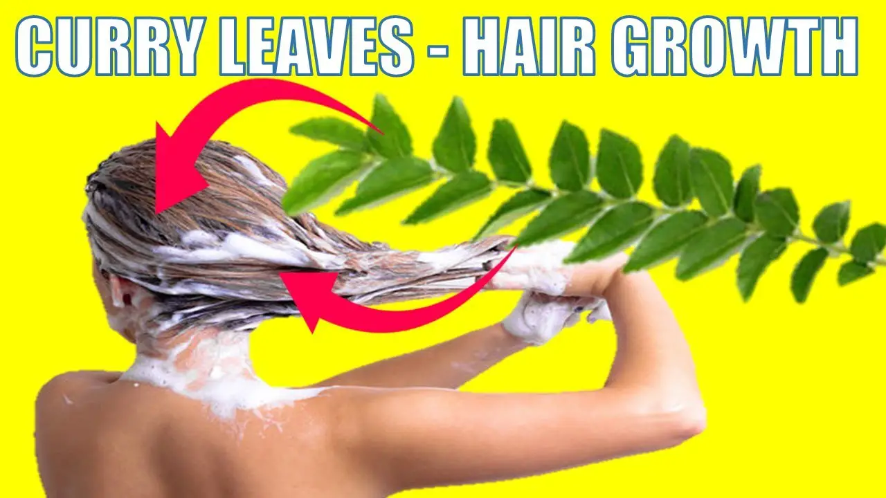 curry leaves - hair growth