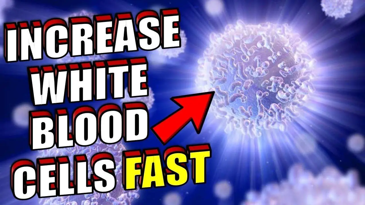 how-to-increase-your-white-blood-cell-fast-epic-natural-health