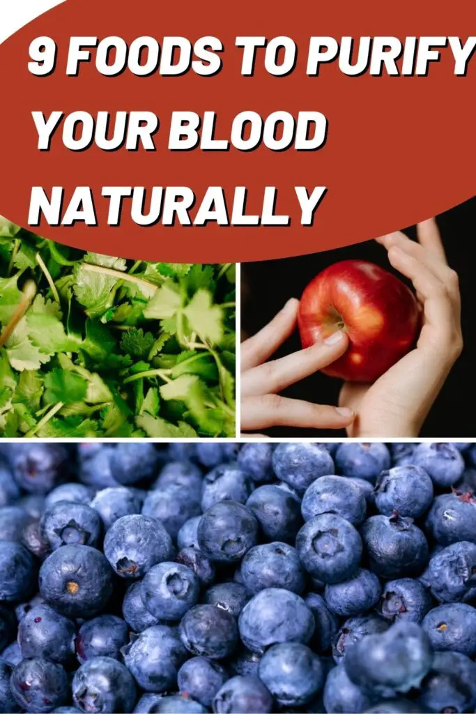 Top 9 Foods To PURIFY YOUR BLOOD Naturally - Epic Natural Health