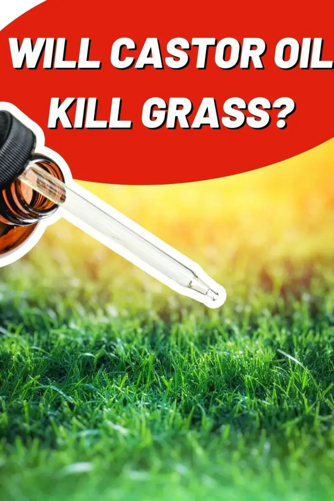 Will Castor Oil Kill Grass Epic Natural Health