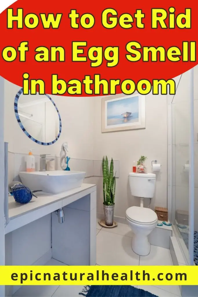 How to Get Rid of an Egg Smell (Sulfur) in the Bathroom Epic Natural