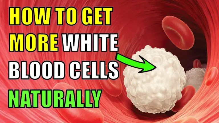 how-to-increase-white-blood-cells-naturally-epic-natural-health