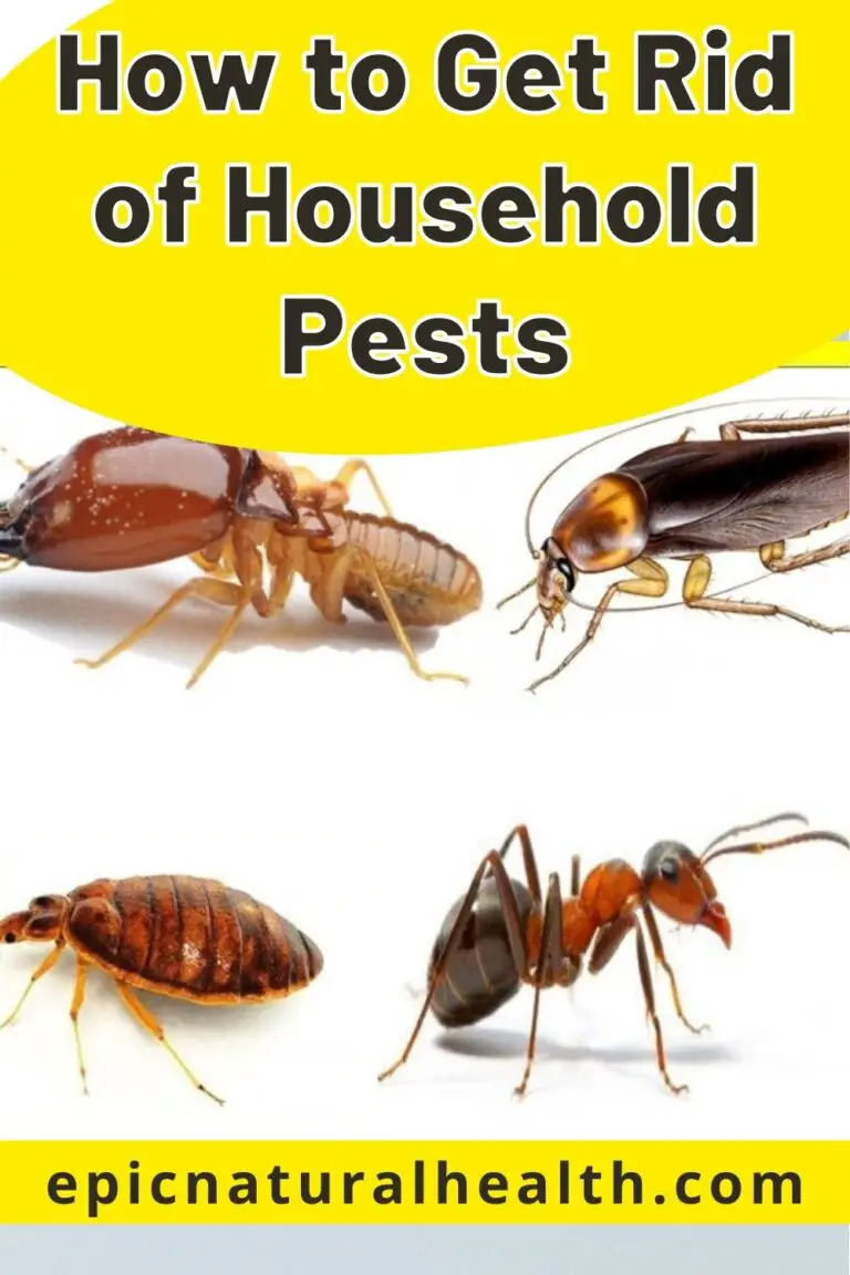 How To Get Rid Of Household Pests With Home Remedies - Epic Natural Health